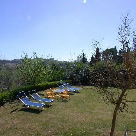 Sole - Paianini