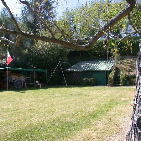 Sole - Paianini